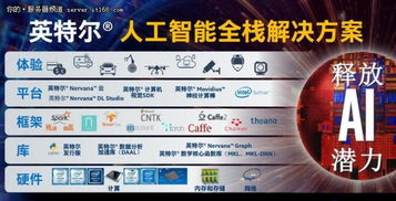 深化創(chuàng)新合作 英特爾加速人工智能應(yīng)用軟件開(kāi)發(fā)新進(jìn)程