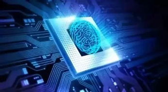 人工智能芯片 硬件與軟件共生，驅動AI應用軟件開發的未來